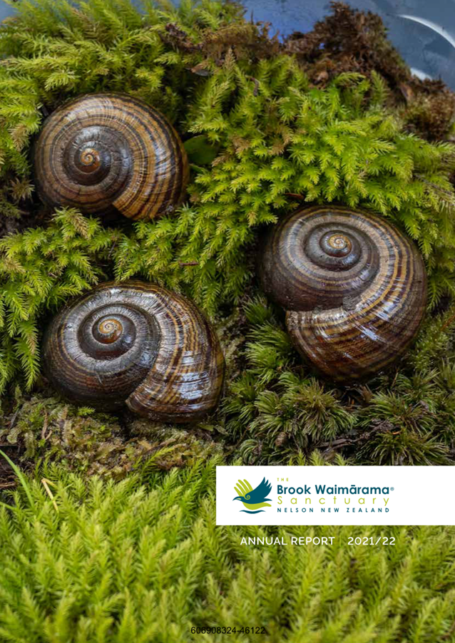 A picture containing tree, mollusk, invertebrate, snail

Description automatically generated