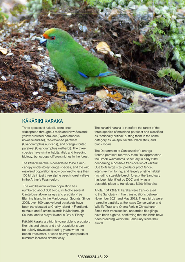 A picture containing text, bird, green, parrot

Description automatically generated